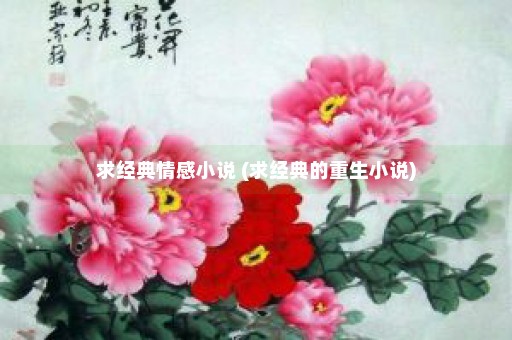 求经典情感小说 (求经典的重生小说)