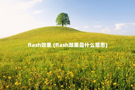 flash效果 (flash效果是什么意思)