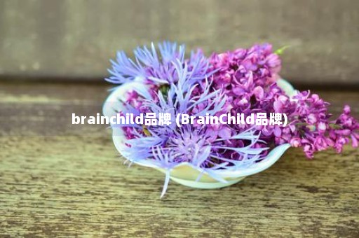 brainchild品牌 (BrainChild品牌)