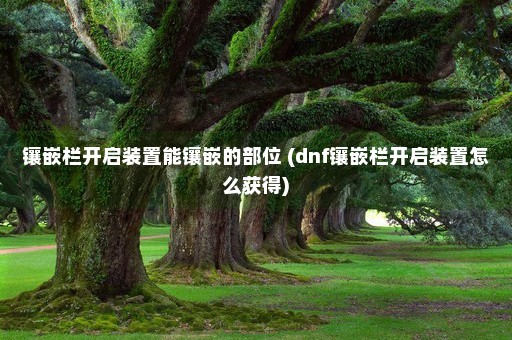 镶嵌栏开启装置能镶嵌的部位 (dnf镶嵌栏开启装置怎么获得)