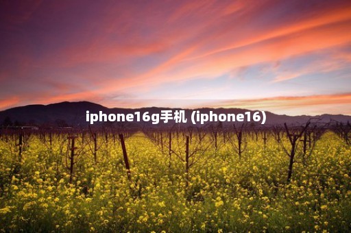 iphone16g手机 (iphone16)