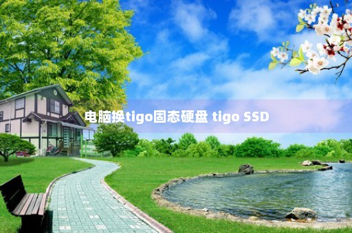 电脑换tigo固态硬盘 tigo SSD