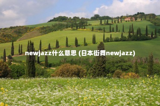 newjazz什么意思 (日本街舞newjazz)