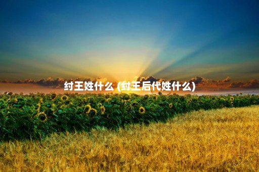 纣王姓什么 (纣王后代姓什么)