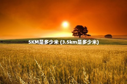 5KM是多少米 (3.5km是多少米)