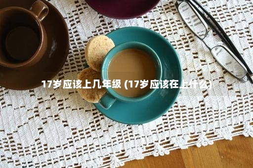 17岁应该上几年级 (17岁应该在上什么)