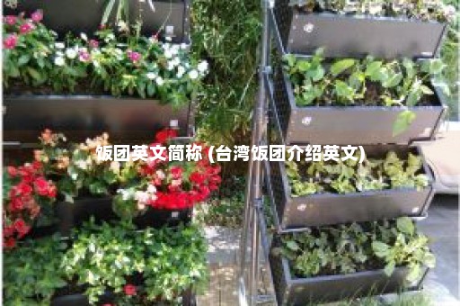 饭团英文简称 (台湾饭团介绍英文)