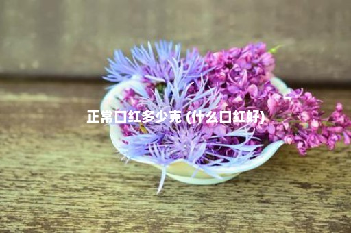 正常口红多少克 (什么口红好)