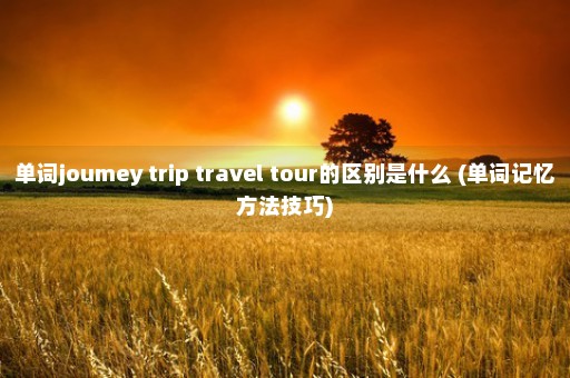 单词joumey trip travel tour的区别是什么 (单词记忆方法技巧)