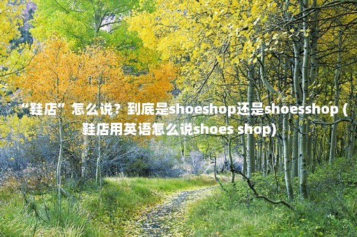 “鞋店”怎么说？到底是shoeshop还是shoesshop (鞋店用英语怎么说shoes shop)