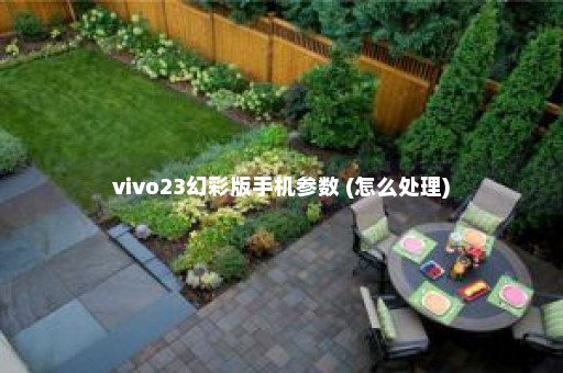 vivo23幻彩版手机参数 (怎么处理)