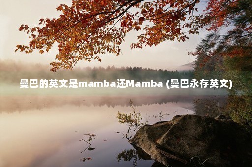 曼巴的英文是mamba还Mamba (曼巴永存英文)