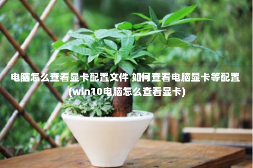 电脑怎么查看显卡配置文件 如何查看电脑显卡等配置 (win10电脑怎么查看显卡)