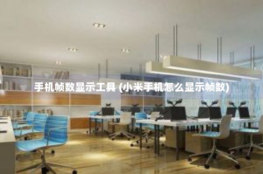 手机帧数显示工具 (小米手机怎么显示帧数)