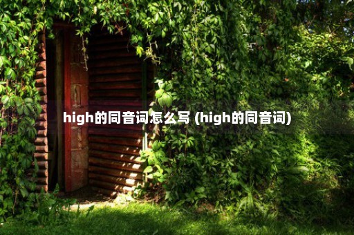 high的同音词怎么写 (high的同音词)