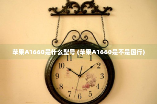 苹果A1660是什么型号 (苹果A1660是不是国行)