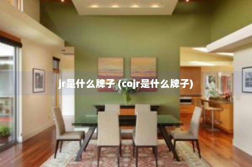 jr是什么牌子 (cojr是什么牌子)