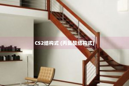 CS2结构式 (丙氨酸结构式)