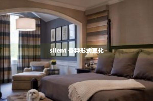 silent 各种形式变化