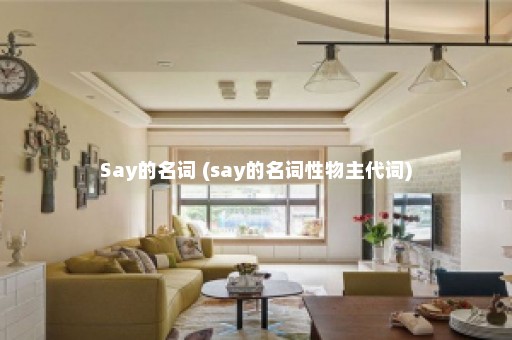 Say的名词 (say的名词性物主代词)