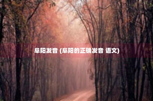 阜阳发音 (阜阳的正确发音 语文)