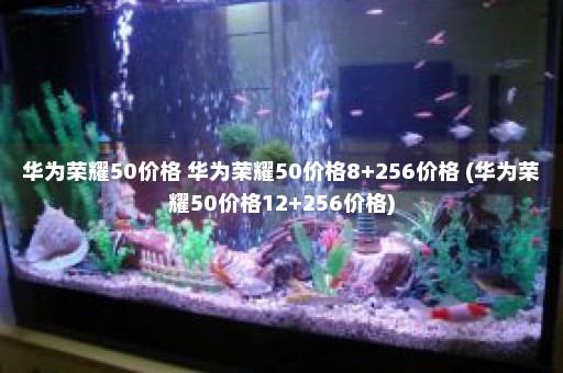 华为荣耀50价格 华为荣耀50价格8+256价格 (华为荣耀50价格12+256价格)