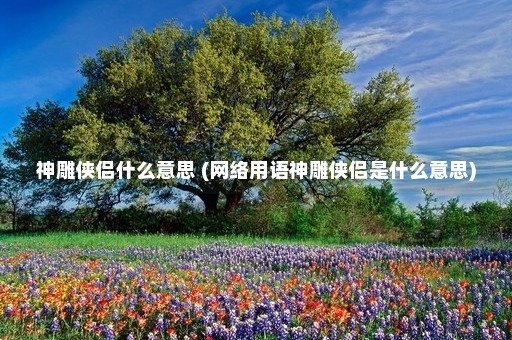 神雕侠侣什么意思 (网络用语神雕侠侣是什么意思)