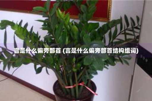 言是什么偏旁部首 (言是什么偏旁部首结构组词)