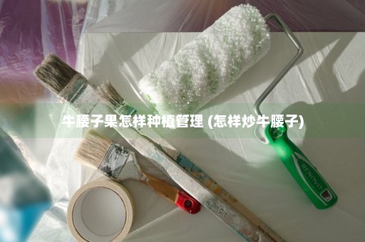 牛腰子果怎样种植管理 (怎样炒牛腰子)