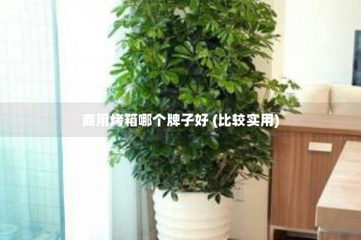 商用烤箱哪个牌子好 (比较实用)