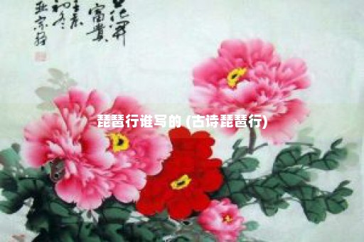 琵琶行谁写的 (古诗琵琶行)