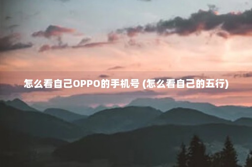 怎么看自己OPPO的手机号 (怎么看自己的五行)