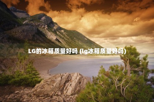 LG的冰箱质量好吗 (lg冰箱质量好吗)