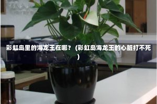 彩虹岛里的海龙王在哪？ (彩虹岛海龙王的心脏打不死)