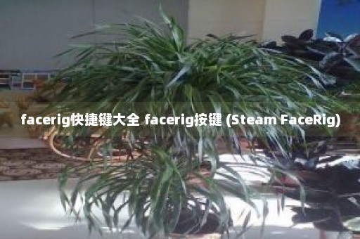 facerig快捷键大全 facerig按键 (Steam FaceRig)