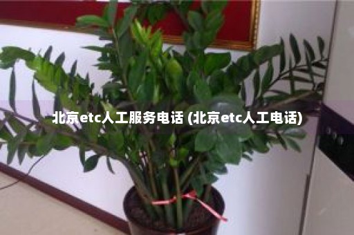 北京etc人工服务电话 (北京etc人工电话)