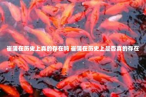 崔蒲在历史上真的存在吗 崔蒲在历史上是否真的存在