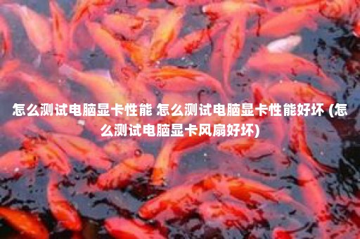 怎么测试电脑显卡性能 怎么测试电脑显卡性能好坏 (怎么测试电脑显卡风扇好坏)