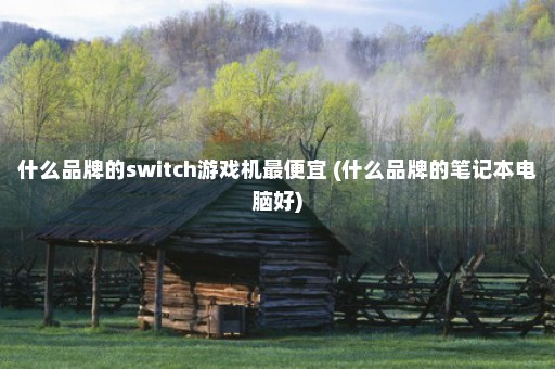 什么品牌的switch游戏机最便宜 (什么品牌的笔记本电脑好)