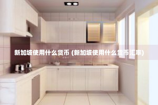 新加坡使用什么货币 (新加坡使用什么货币汇率)