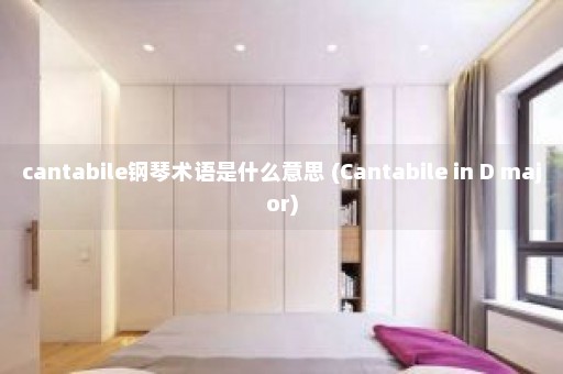 cantabile钢琴术语是什么意思 (Cantabile in D major)