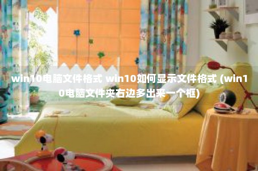 win10电脑文件格式 win10如何显示文件格式 (win10电脑文件夹右边多出来一个框)