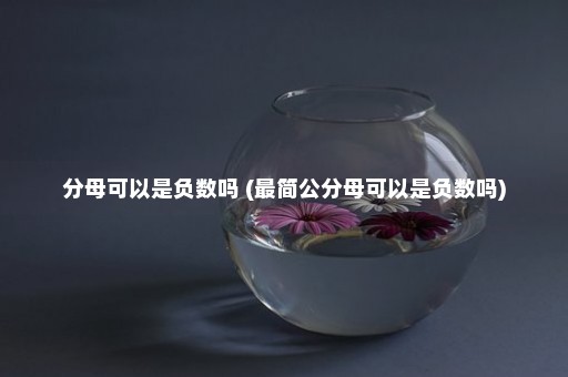 分母可以是负数吗 (最简公分母可以是负数吗)