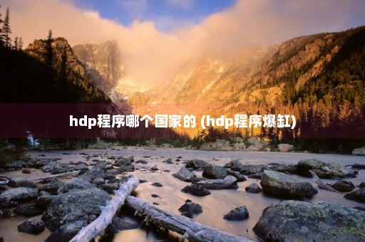 hdp程序哪个国家的 (hdp程序爆缸)