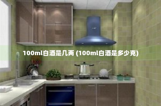 100ml白酒是几两 (100ml白酒是多少克)