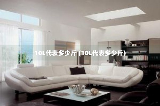 10L代表多少斤 (10L代表多少斤)