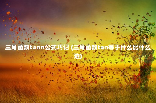 三角函数tanπ公式巧记 (三角函数tan等于什么比什么边)