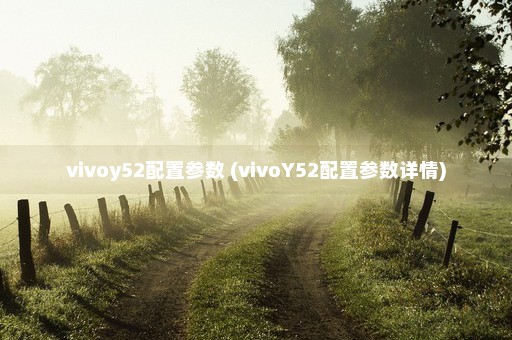 vivoy52配置参数 (vivoY52配置参数详情)