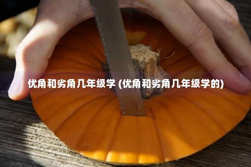 优角和劣角几年级学 (优角和劣角几年级学的)