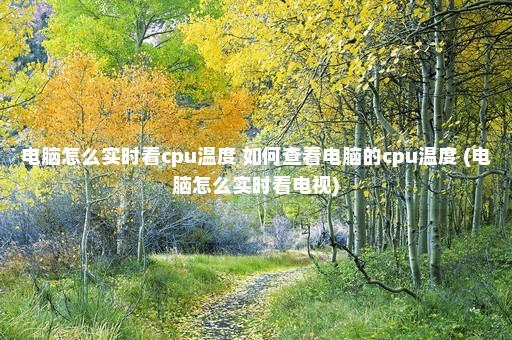 电脑怎么实时看cpu温度 如何查看电脑的cpu温度 (电脑怎么实时看电视)